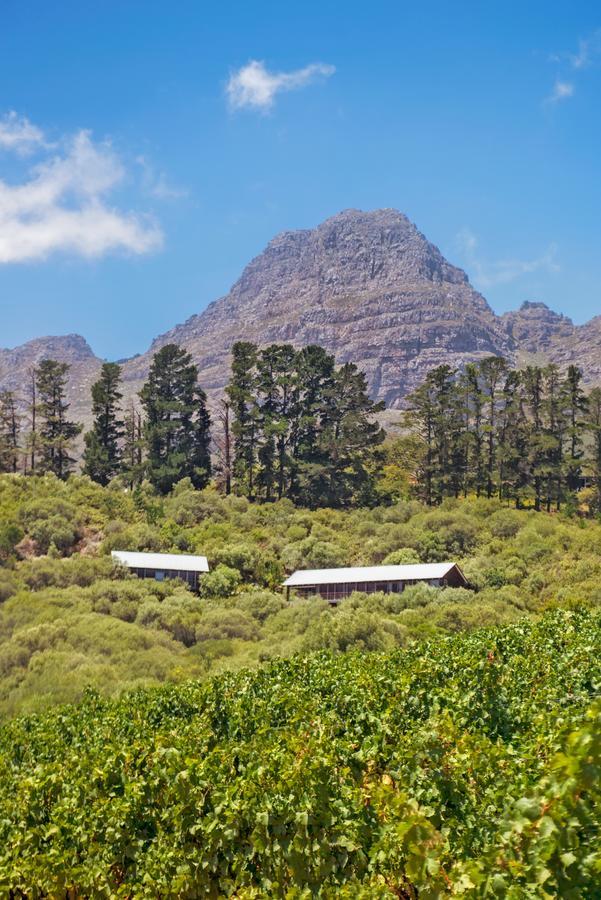 Bush Lodge At Hidden Valley Wines Municipalità locale di Municipalità locale di Stellenbosch Esterno foto